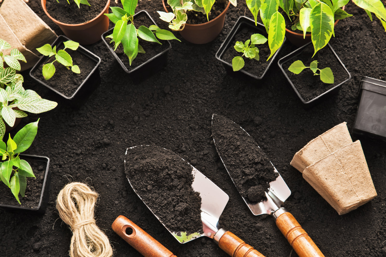 Home & Garden